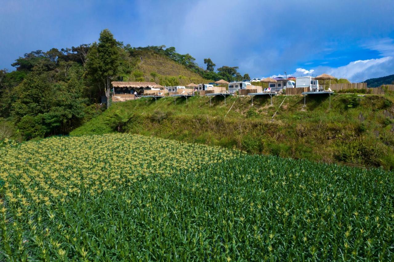 Stellar Goldenhill Cameron Tanah Rata Luaran gambar